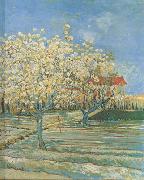 Vincent Van Gogh Orchard in Blossom (nn04) France oil painting reproduction